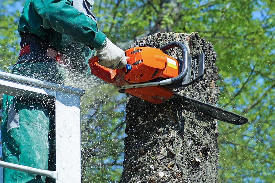 man0removing-top-of-tree-with-chainsaw-bedford-tx